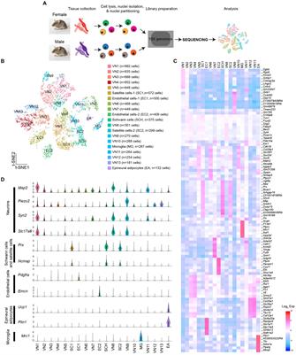 Differential transcriptional profiles of vagal sensory neurons in female and male mice